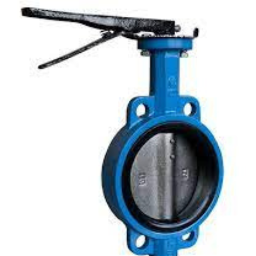Dual Plate Check Valves